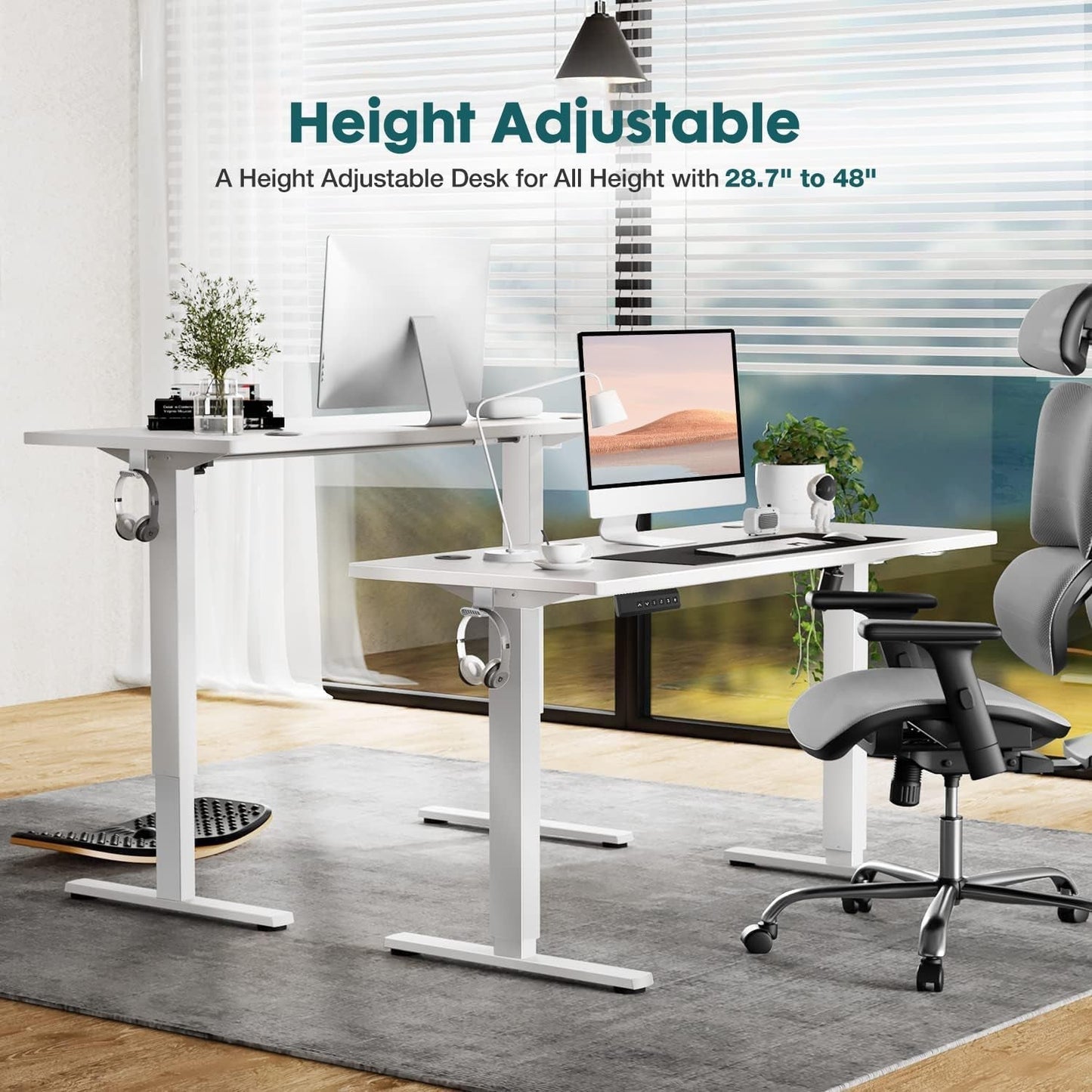 55" Electric Standing Desk - Adjustable Height