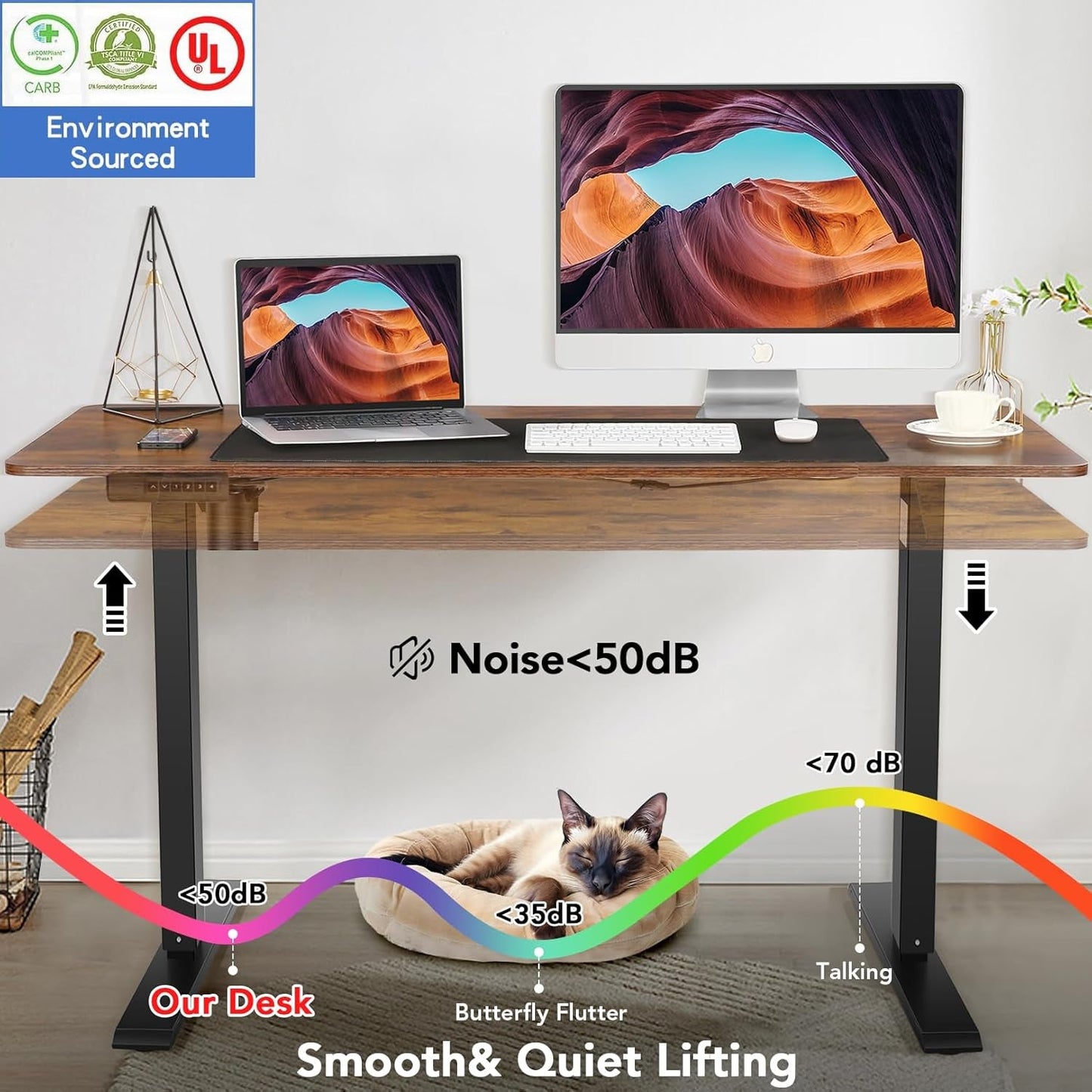 55" Electric Standing Desk - Adjustable Height